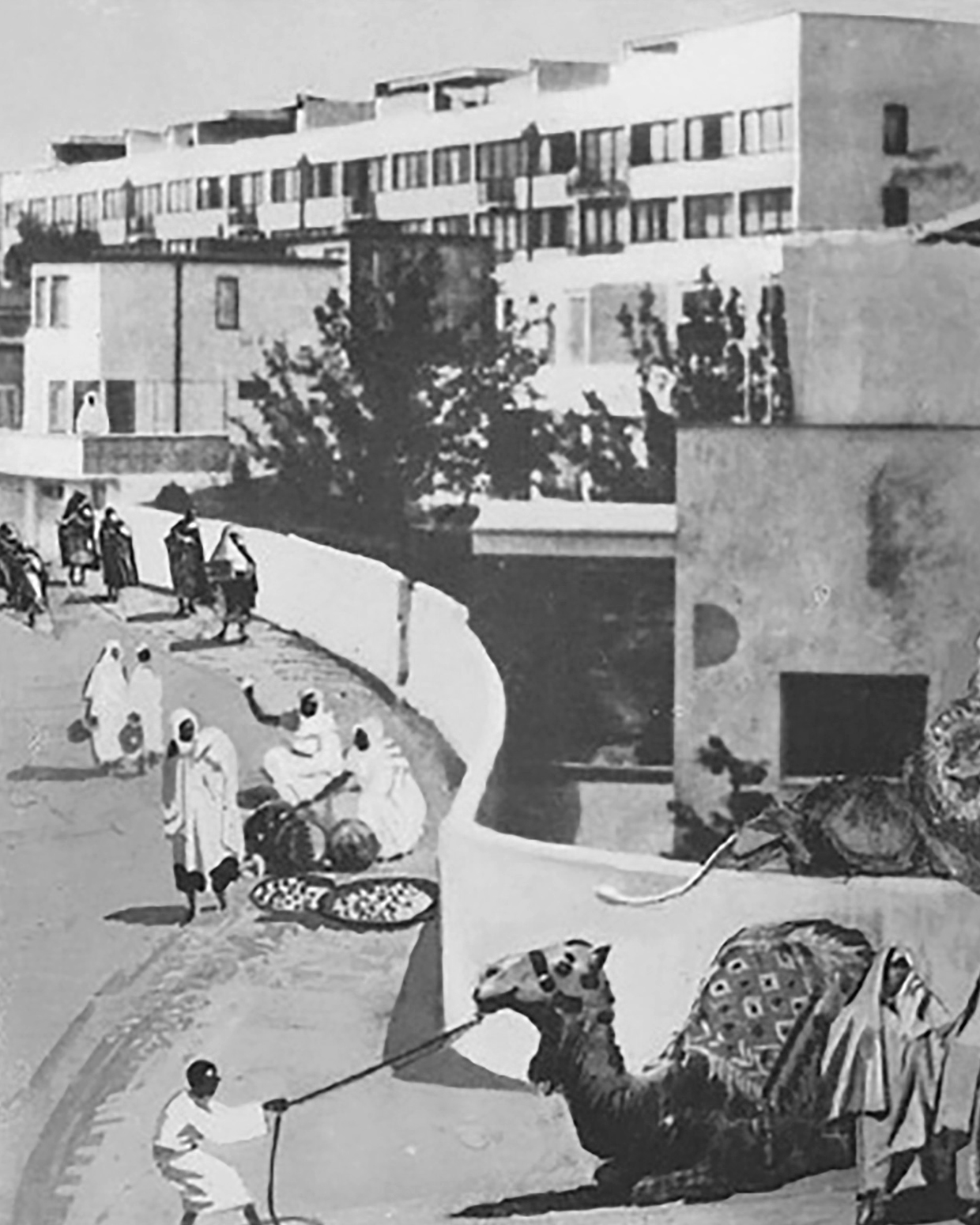 ↗ Bau und Gegenbau